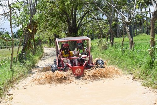 Picture of Two Adventures: Caribbean Dunne Buggies and Party Boat