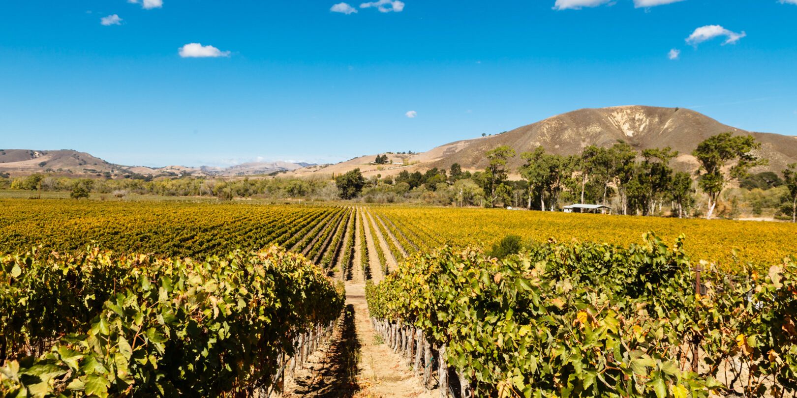 Picture of Santa Barbara Wine Country Tours
