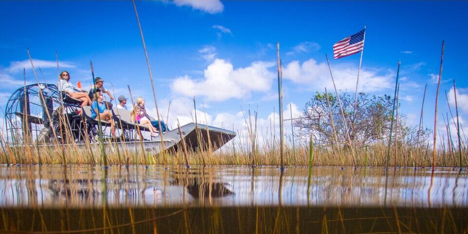 Picture of Gator Park