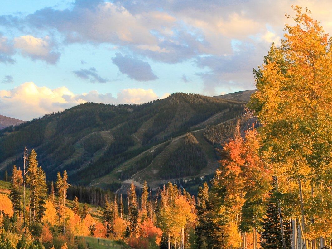 Picture of Winter Park