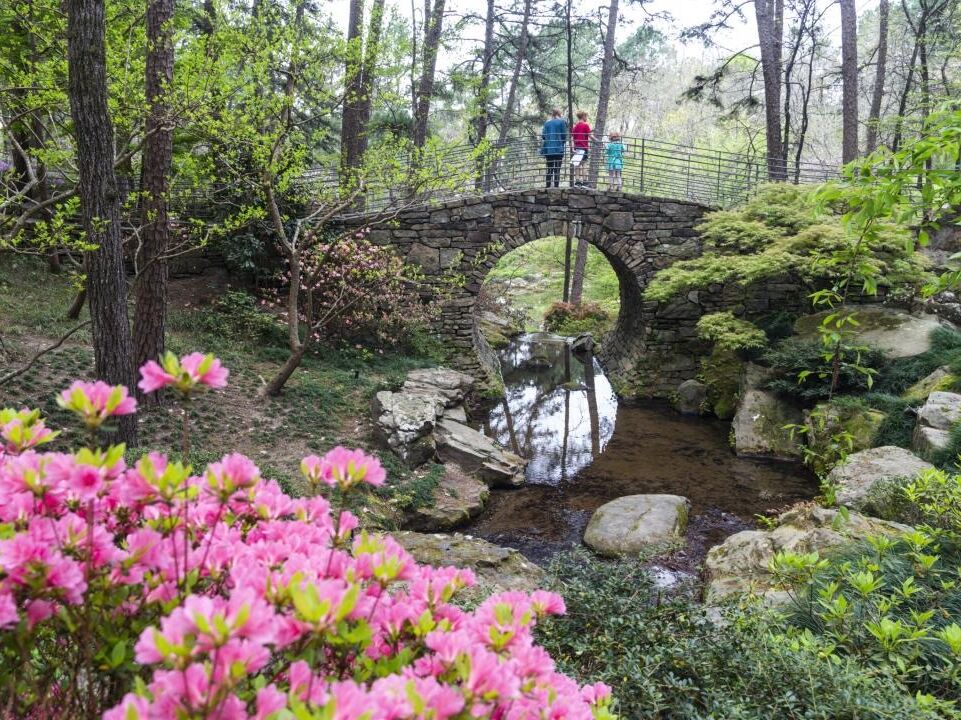 Picture of Garvan Gardens