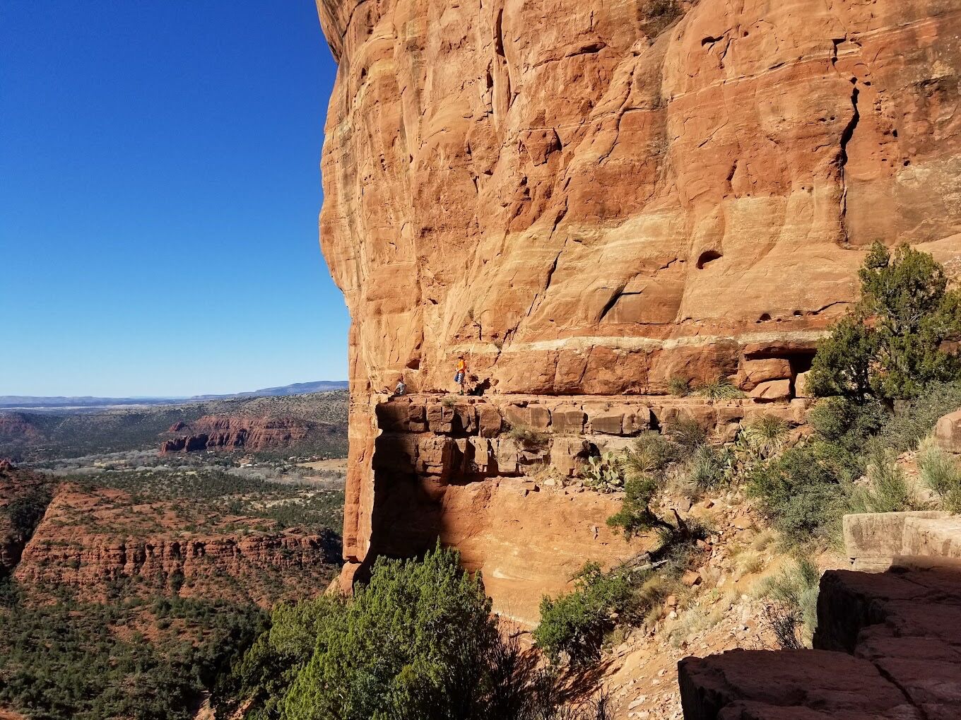 Picture of Cathedral Rock Trailhead