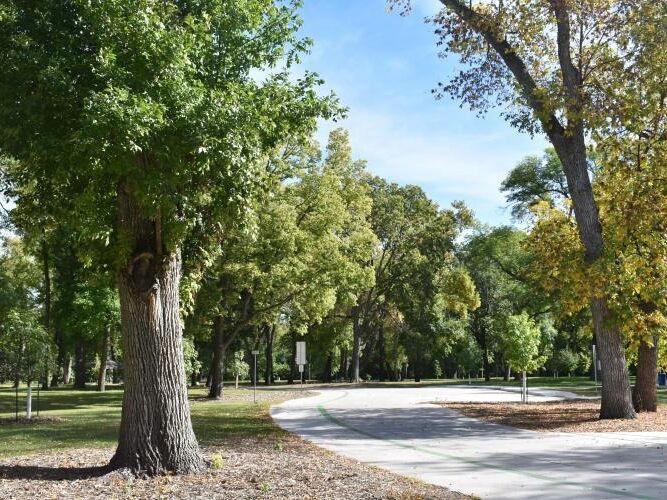 Picture of Lindenwood Park