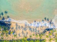 tropical aerial view of the ocean and palm tree shadows for black friday travel deals and cyber monday honeymoon deals