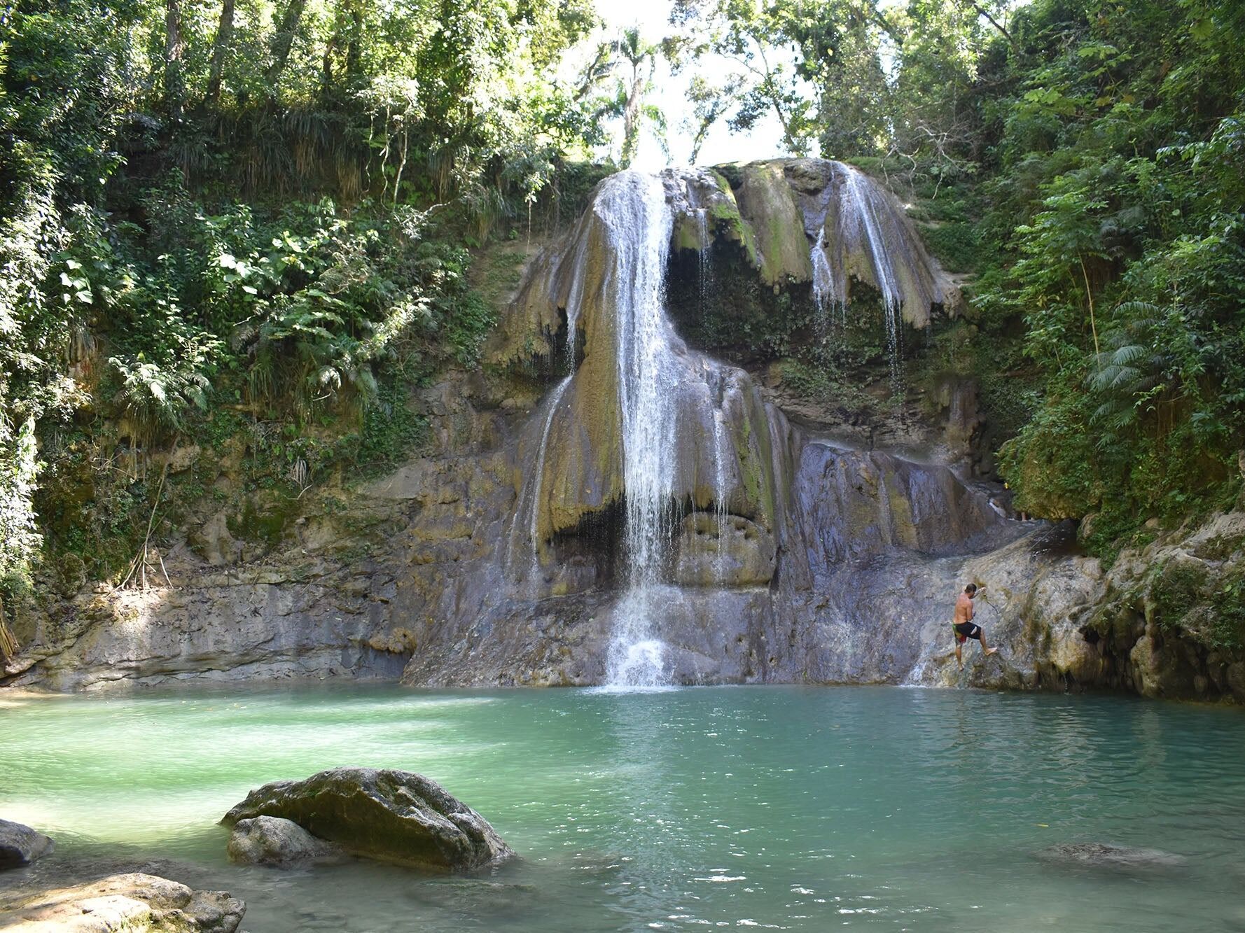 Picture of Gozalandia 