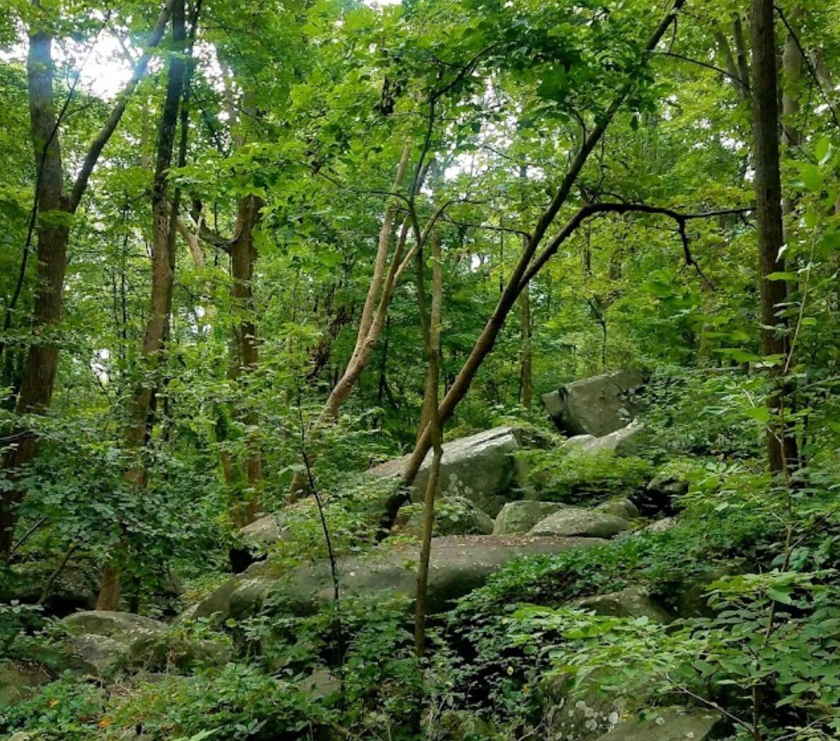 Picture of Top Rock Park