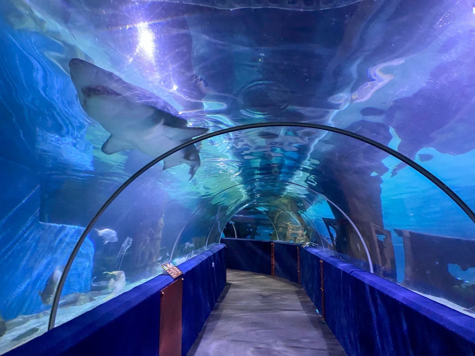 Picture of Greater Cleveland Aquarium
