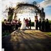 A Christmas Wedding in Austin, TX