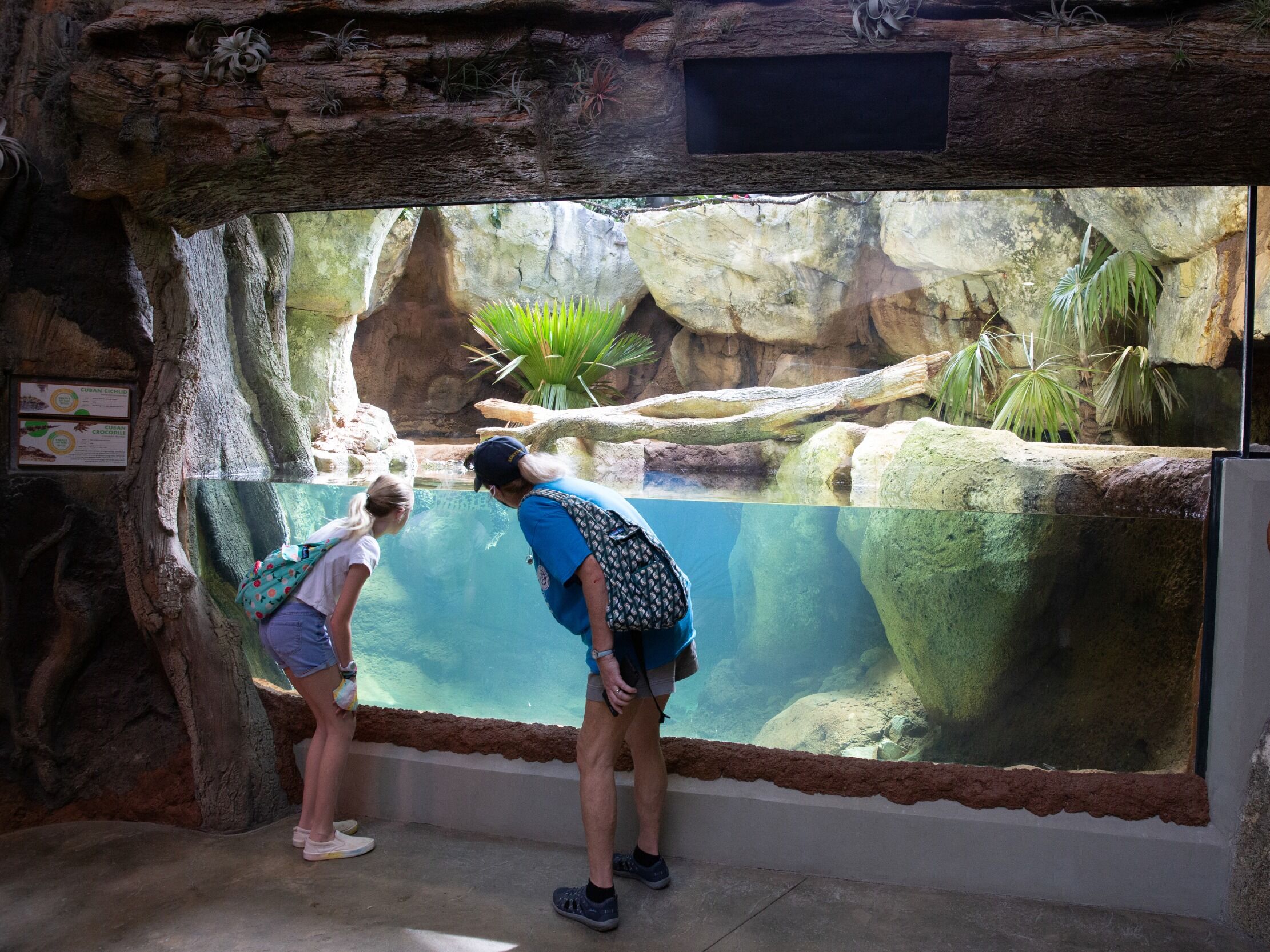 Picture of Zoo Knoxville