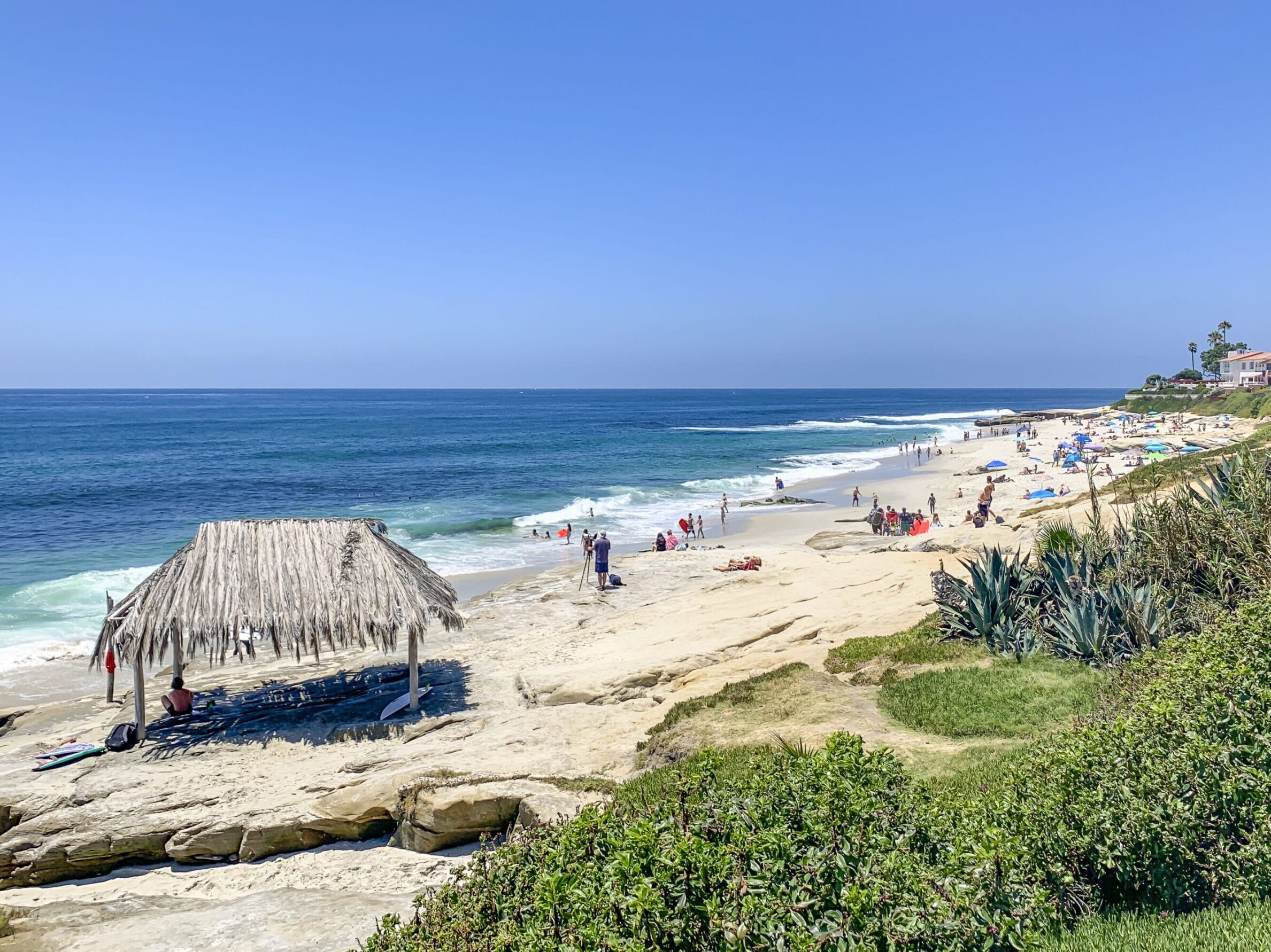 Picture of Windansea Park