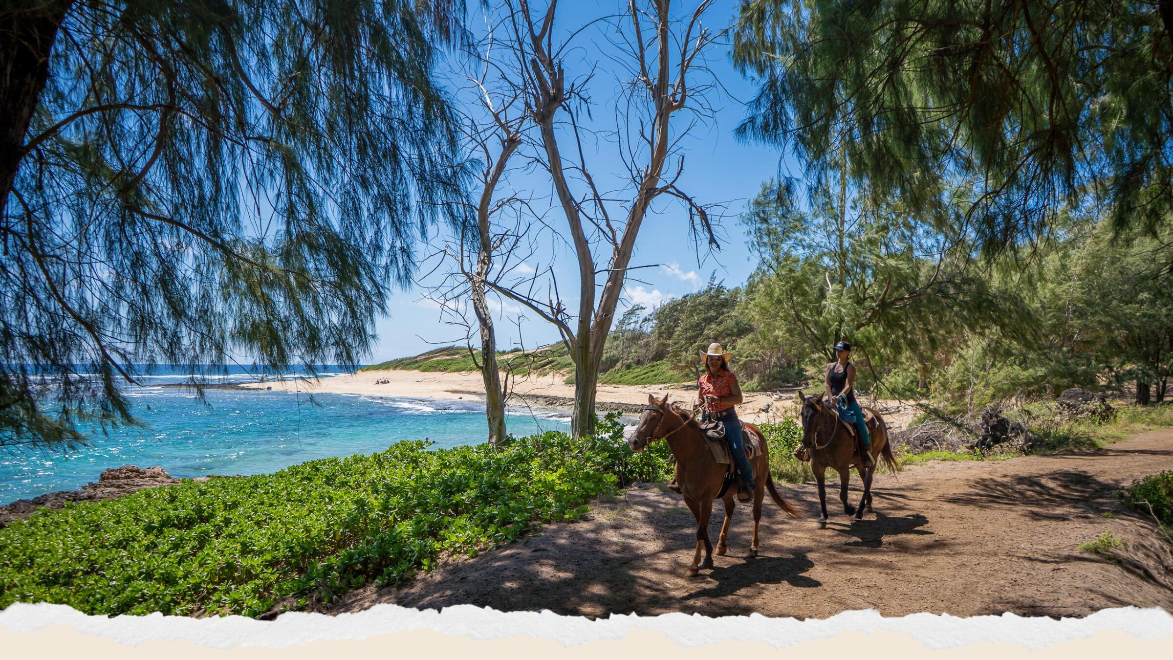 Picture of CJM Country Stables