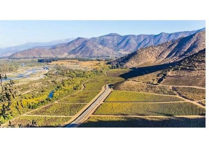 Picture of Maipo Valley Wine Tours