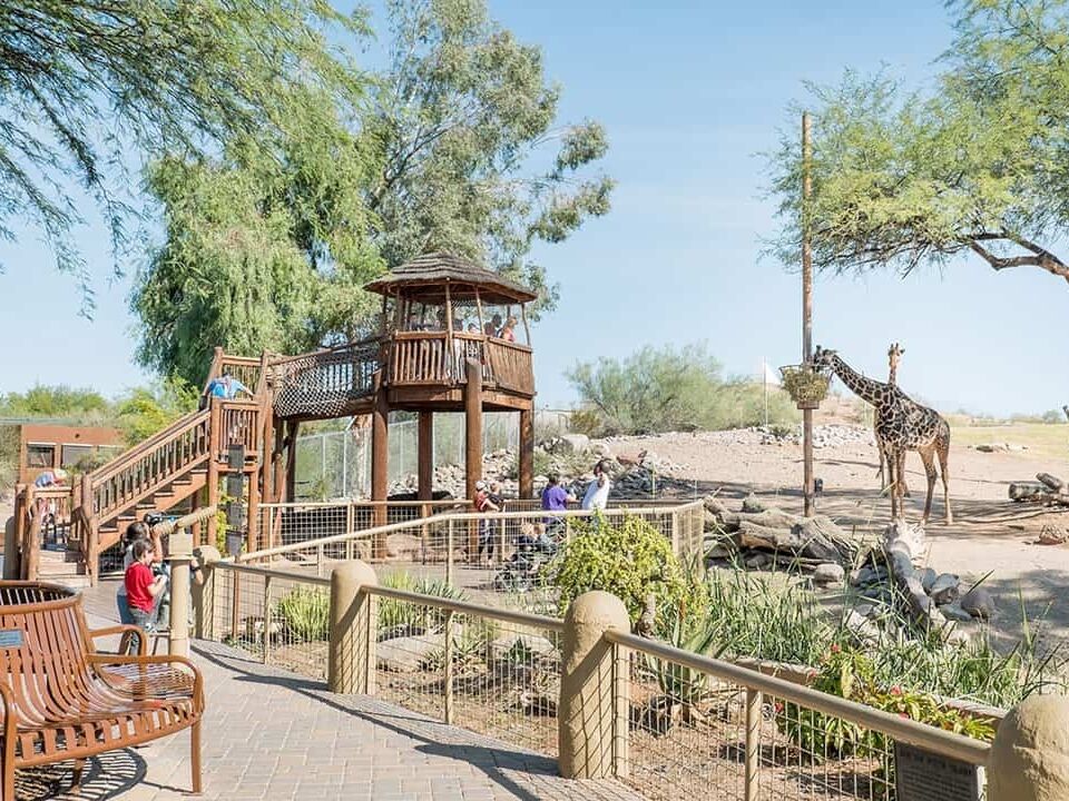 Picture of Phoenix Zoo