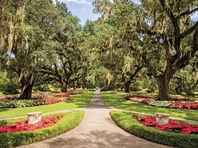 Picture of Brookgreen Gardens