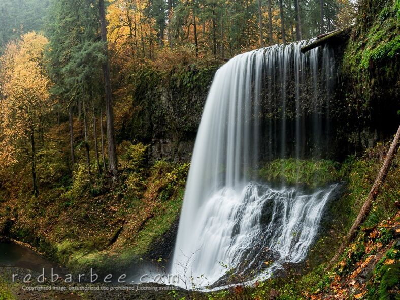 Picture of Silver Falls State Park