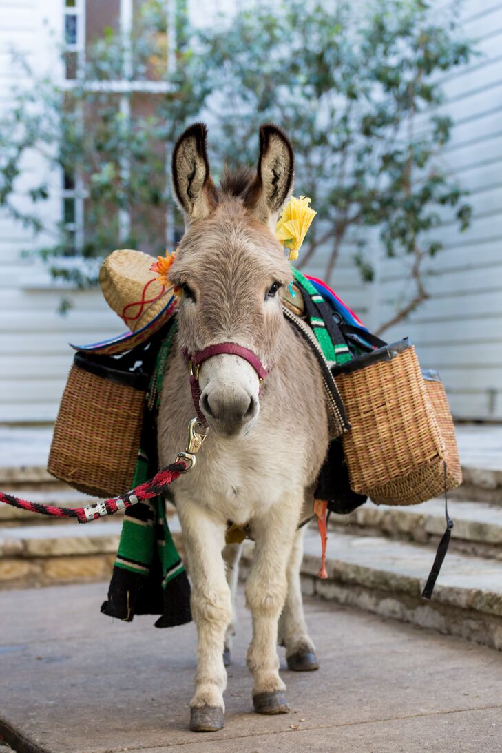 Whimsical Pack Donkey with Beer Satchels