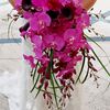 An Intimate Fuchsia Wedding at The Ritz-Carlton, Naples in Naples, Florida