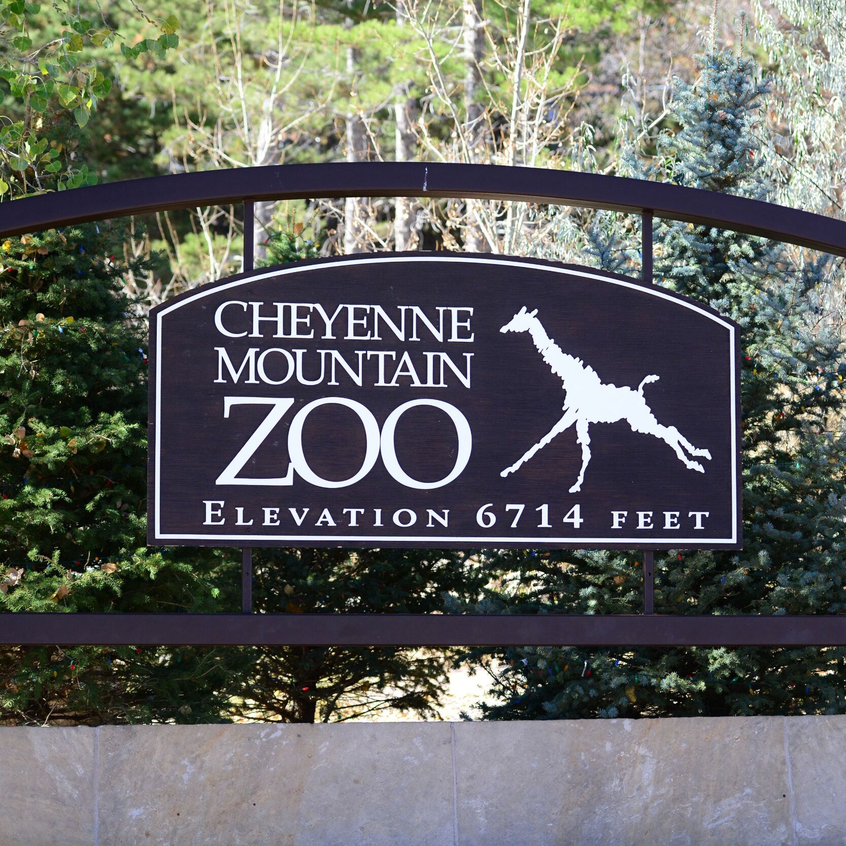 Picture of Cheyenne Mountain Zoo