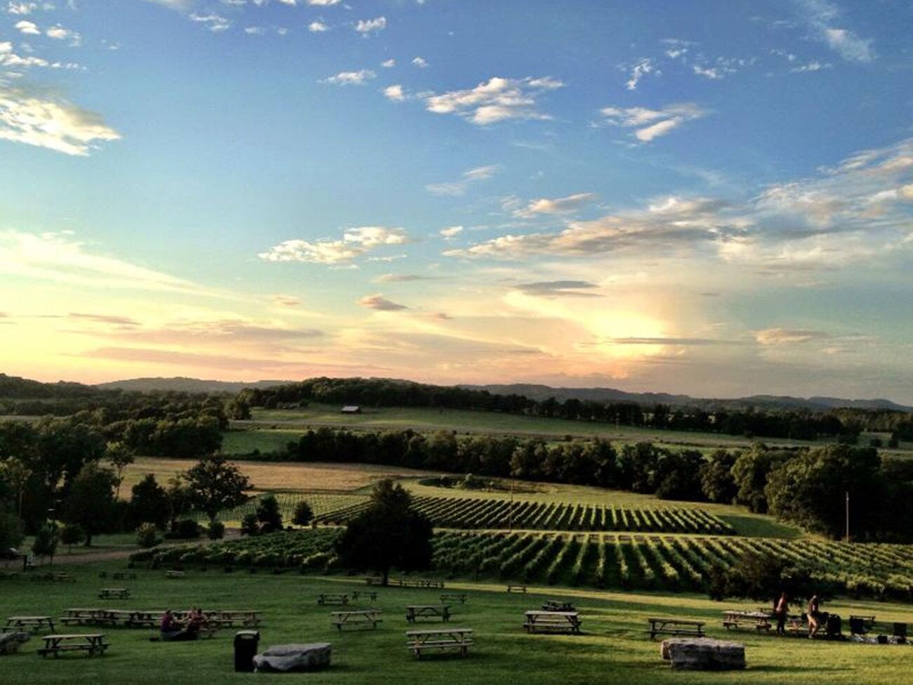 Picture of Arrington Vineyards