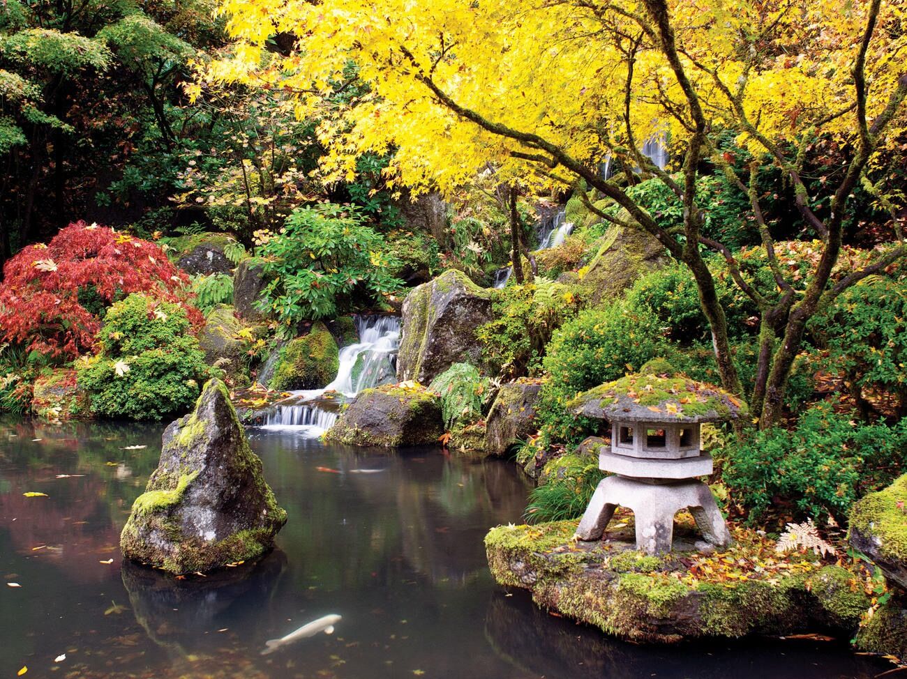 Picture of Portland Japanese Garden