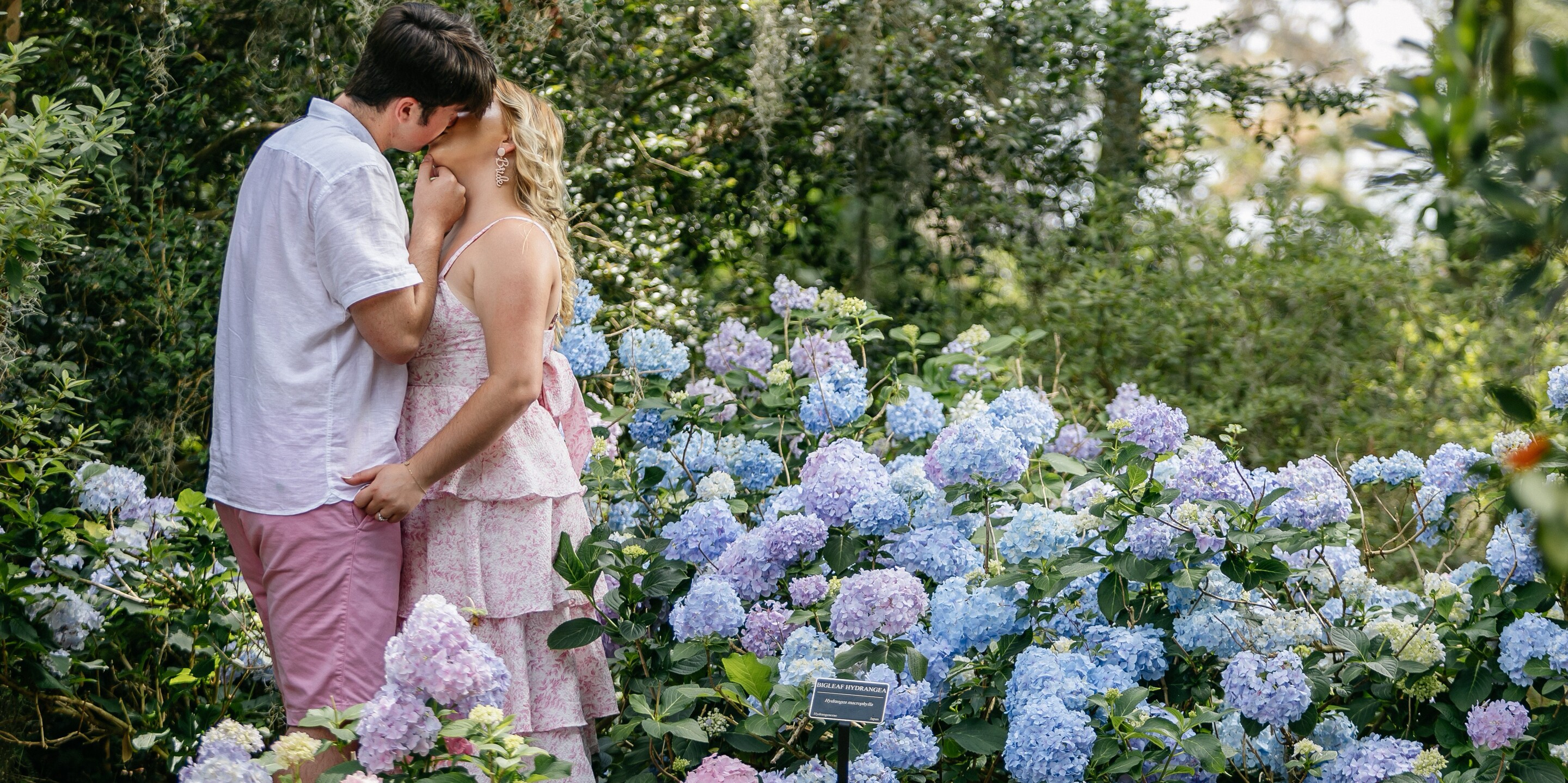 Kaidance & Aidan Home Page Banner