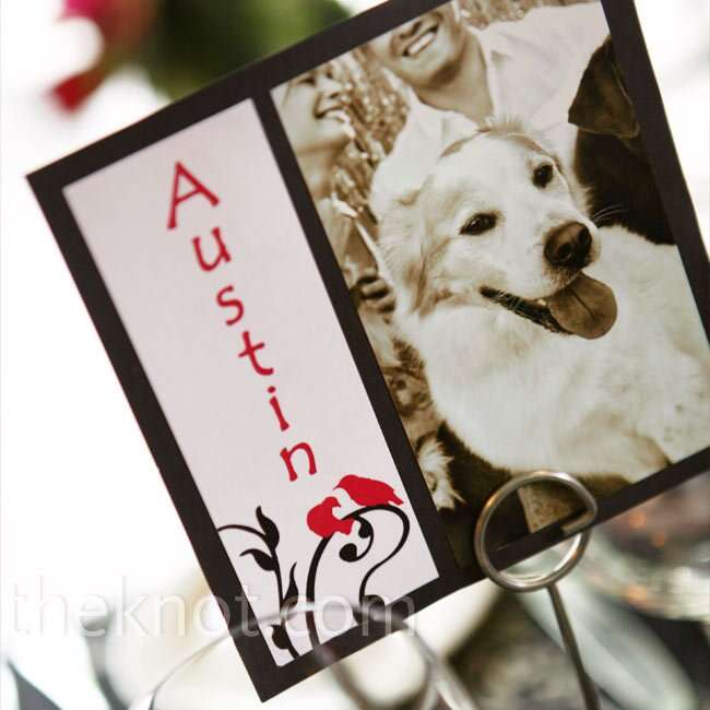 Pet Table Names