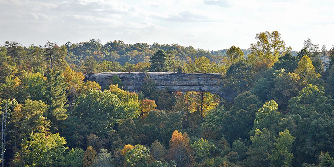 Picture of Red River Gorge