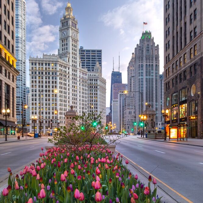 Picture of Magnificent Mile