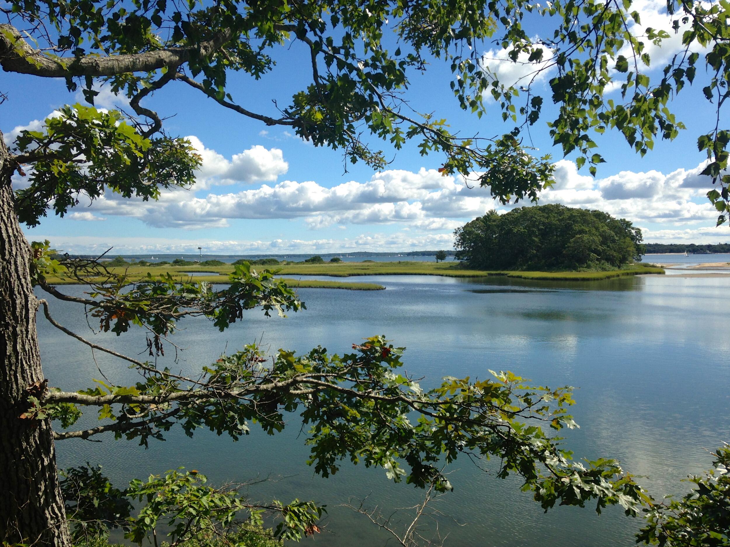Picture of Mashomack Preserve