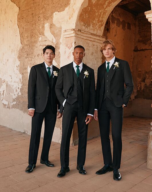 Birdy Grey Suits Taylor Suit Jacket in Black Black Tuxedo - 4