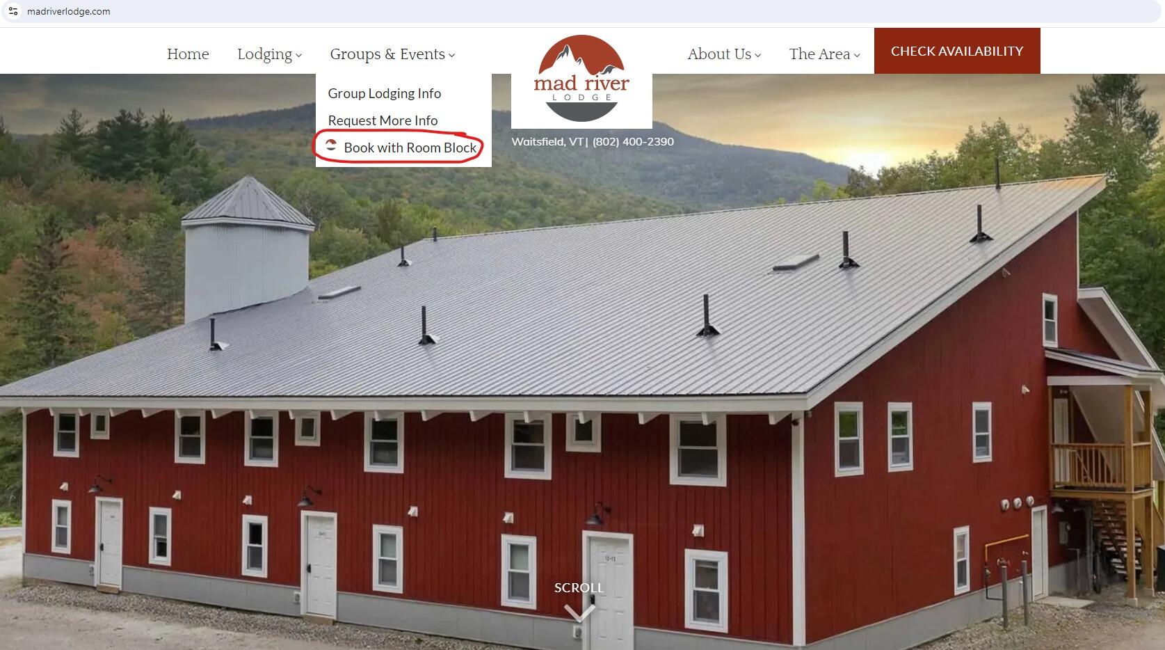 Picture of Mad River Lodge