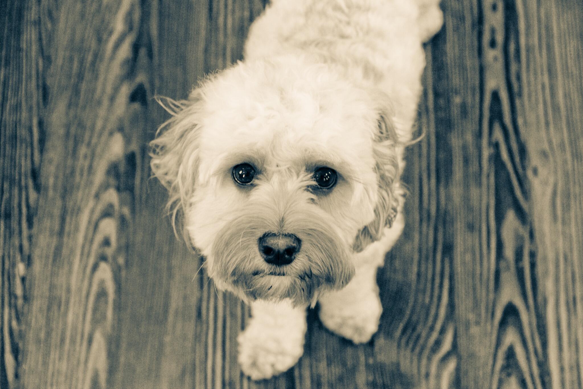 Album Photo 32