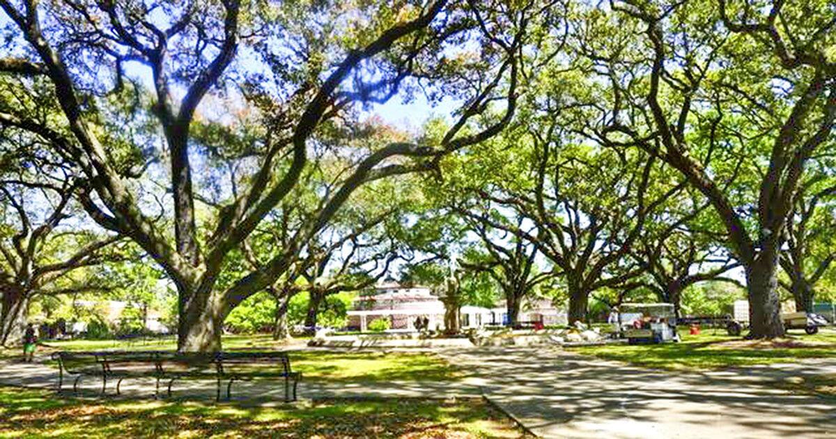Picture of Audubon Park