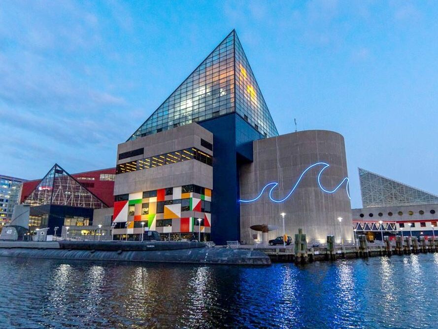 Picture of National Aquarium