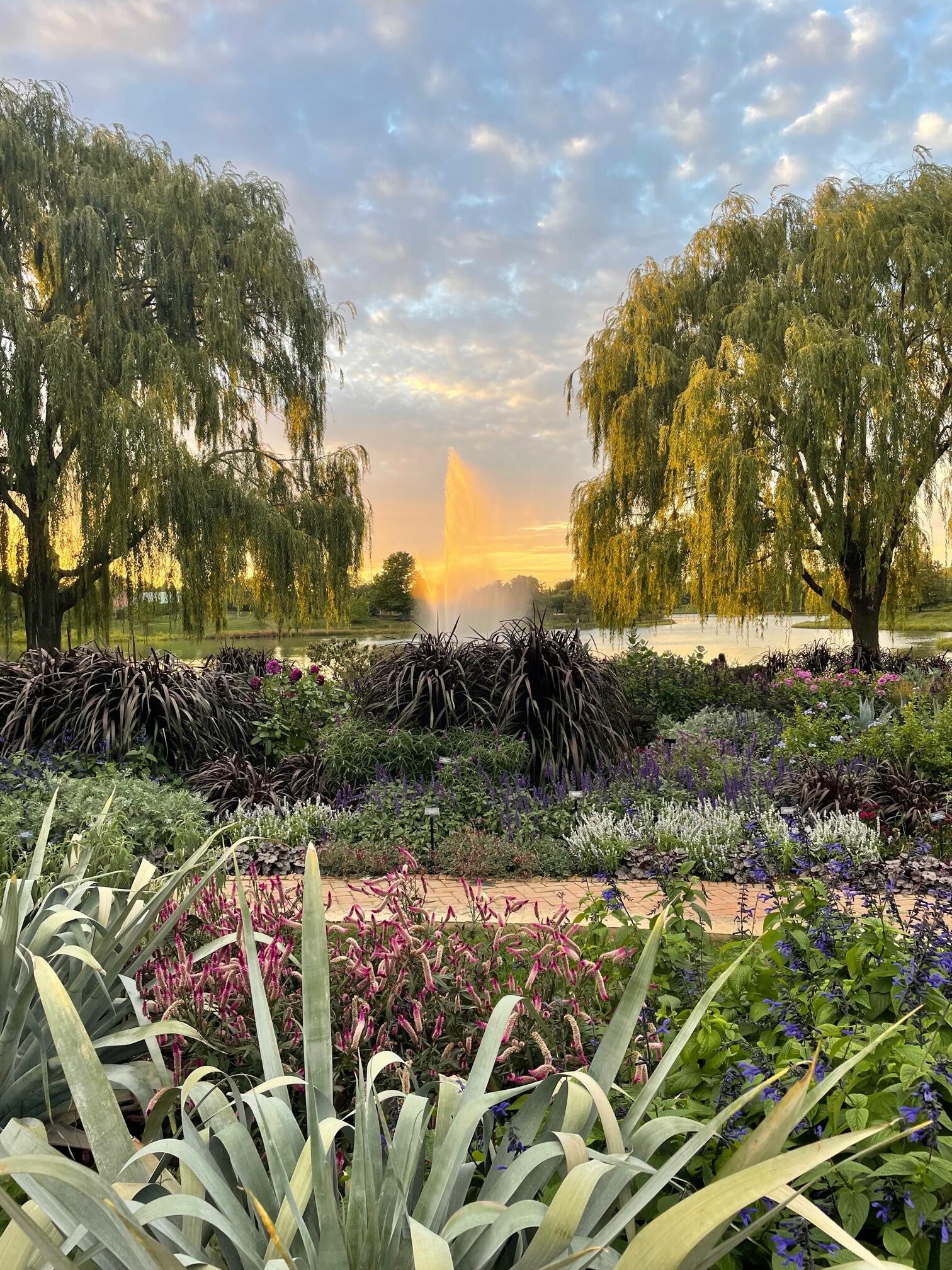 Picture of Chicago Botanic Garden