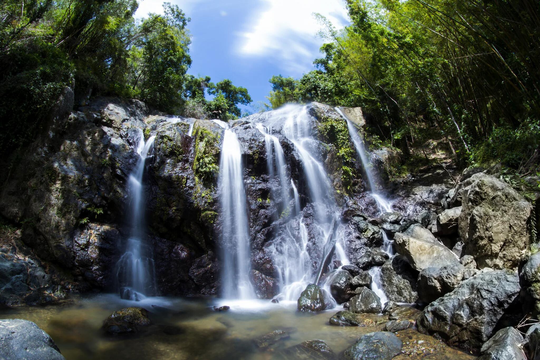 Picture of Argyle Falls