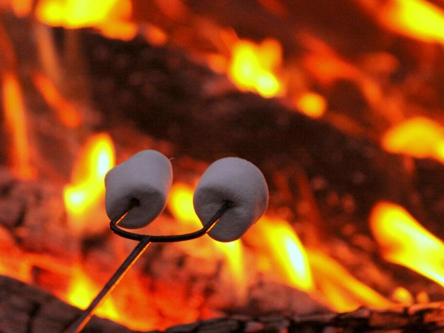 Picture of Bonfire and Smore's