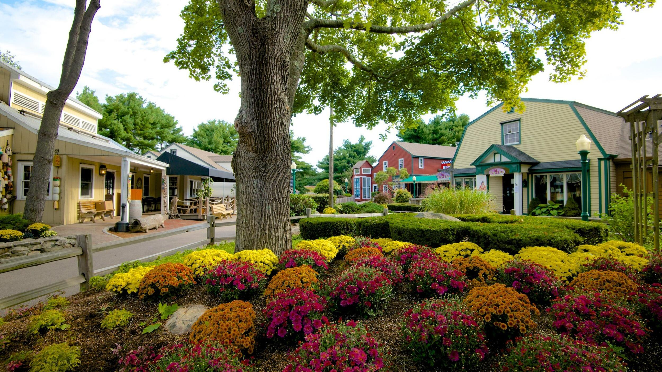 Picture of Olde Mistick Village