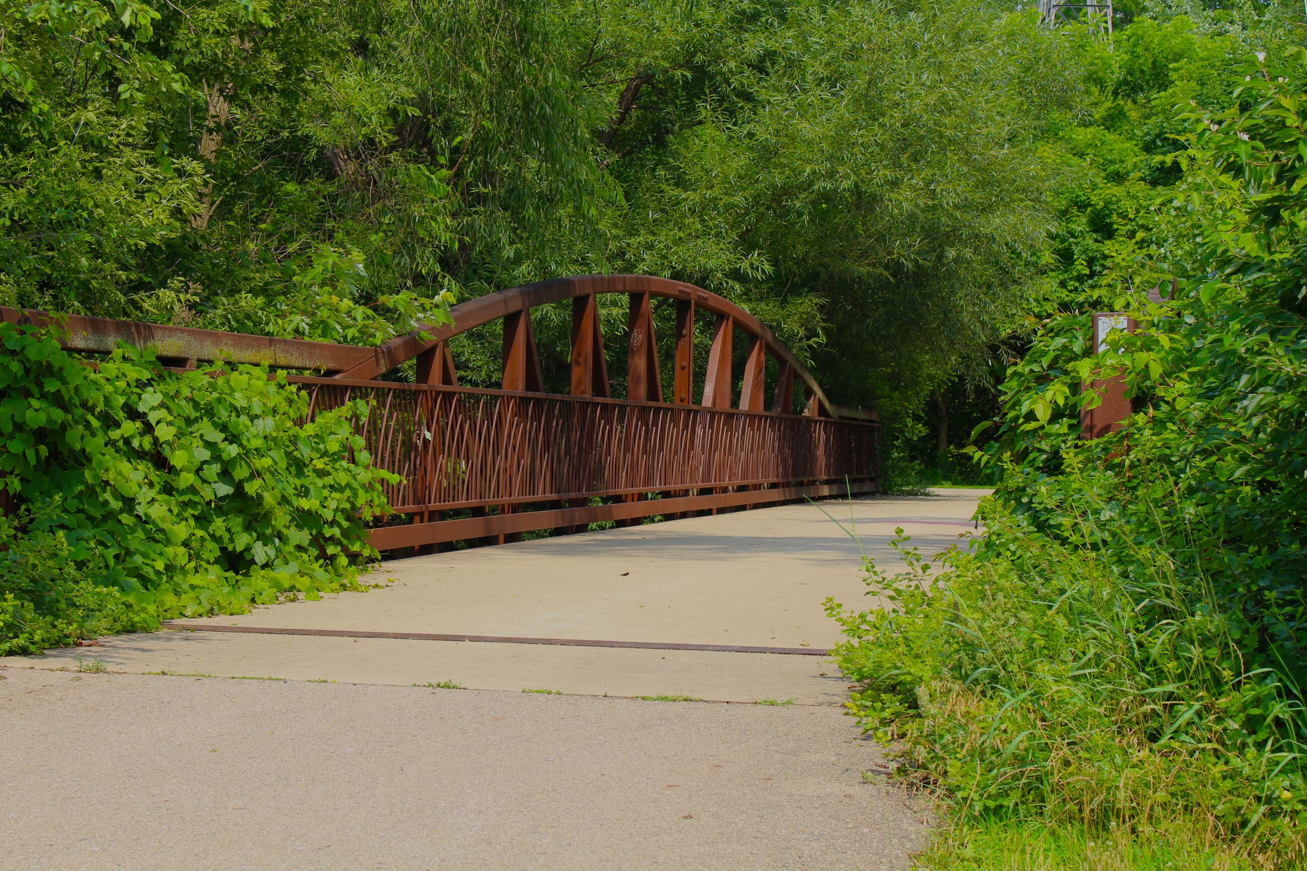 Picture of Lions Park Trail