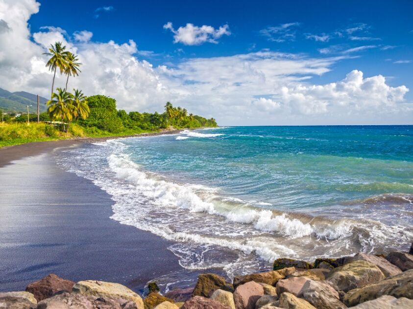Picture of Other Travel Options 