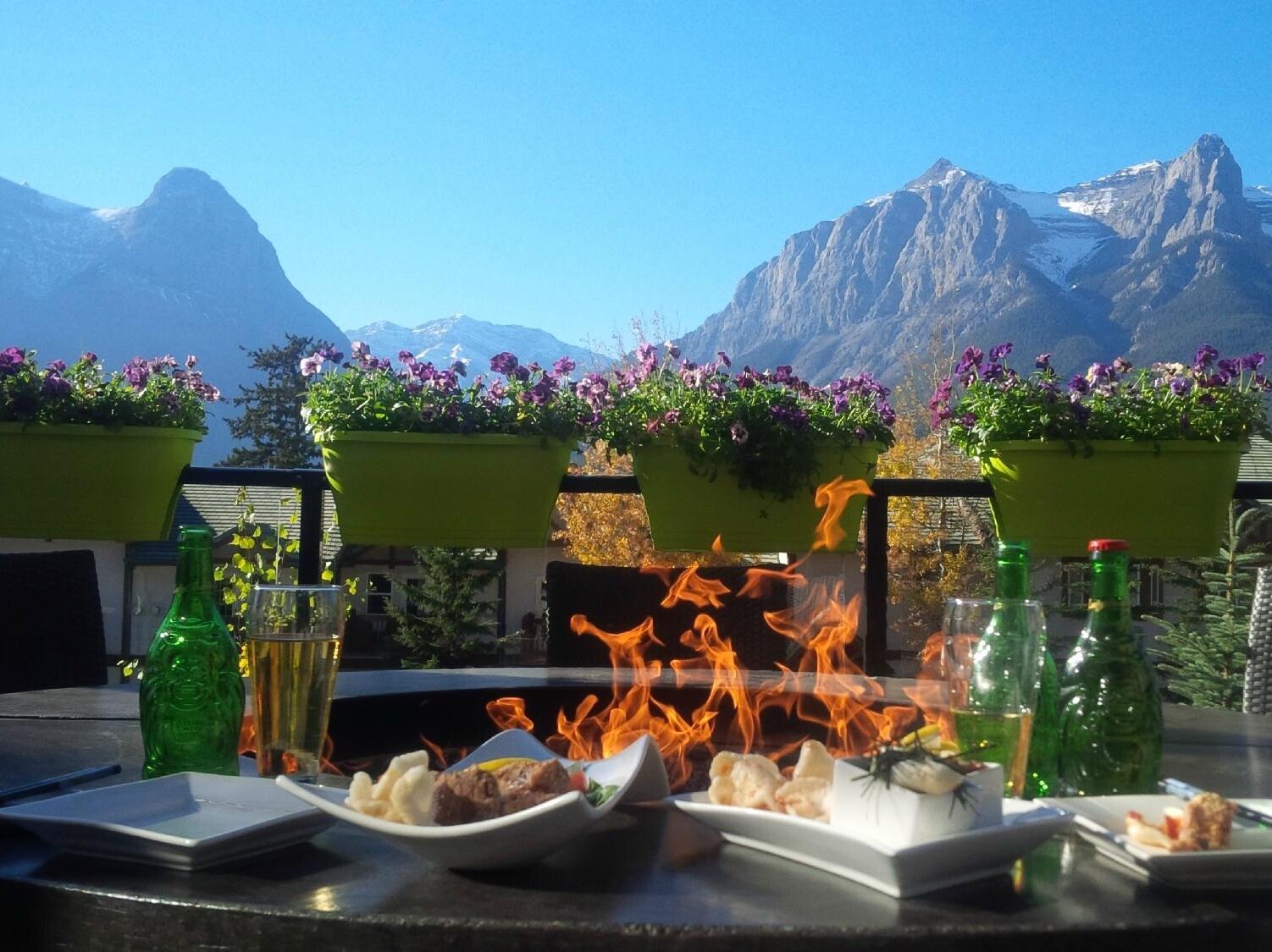 Picture of Wild Orchid Bistro