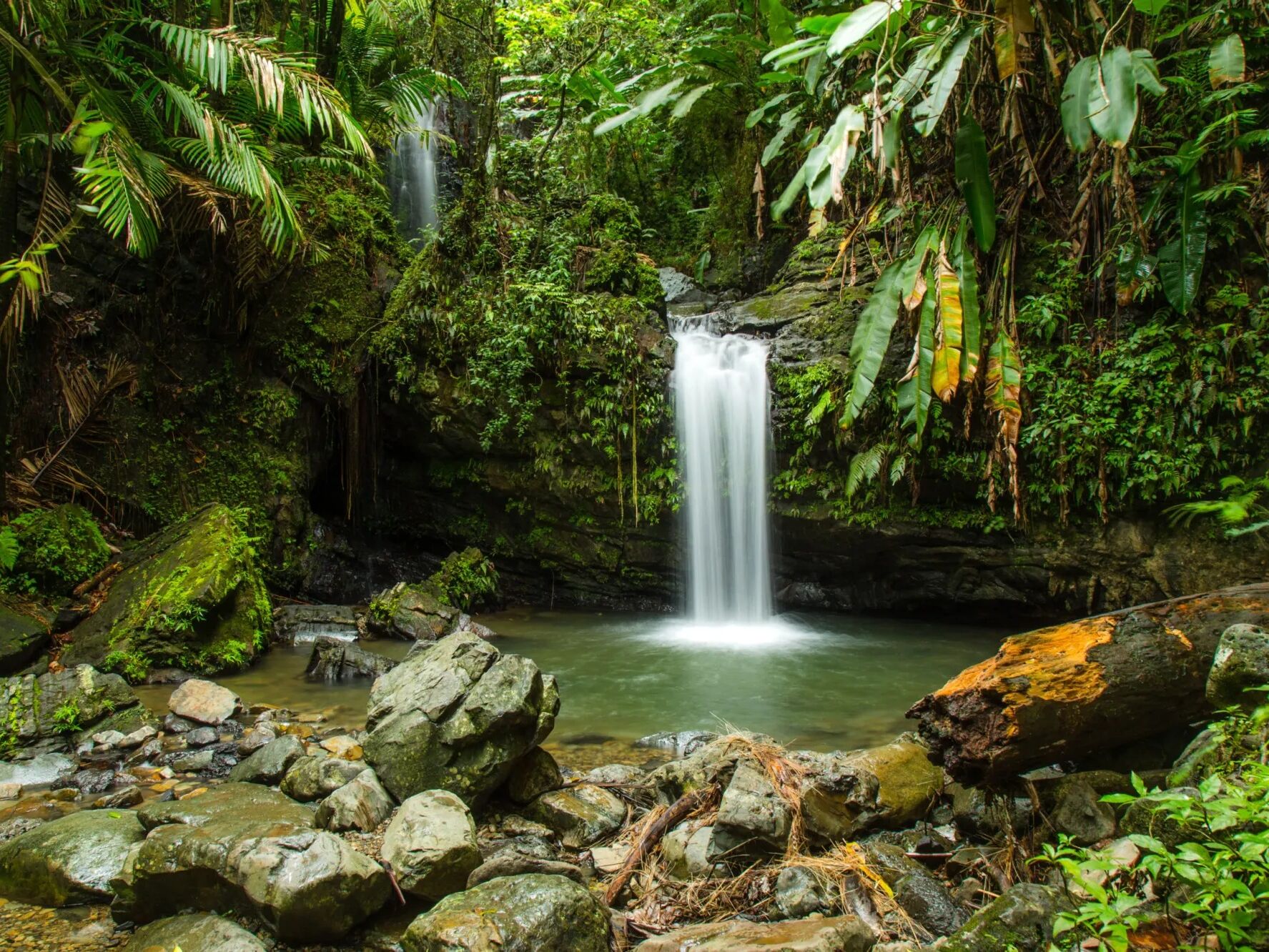 Picture of El Yunque National Forest