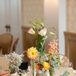 Lori collected various glasses and vases throughout the wedding planning for the centerpieces.