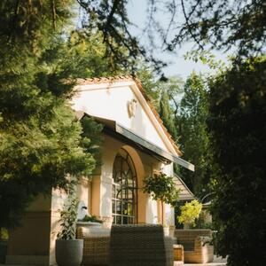 Gallery Photo 11
