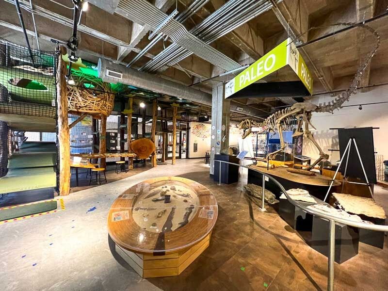 Picture of Asheville Museum of Science