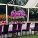 Purple Reception Chairs