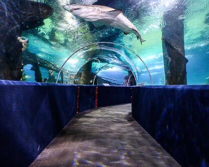 Picture of Greater Cleveland Aquarium