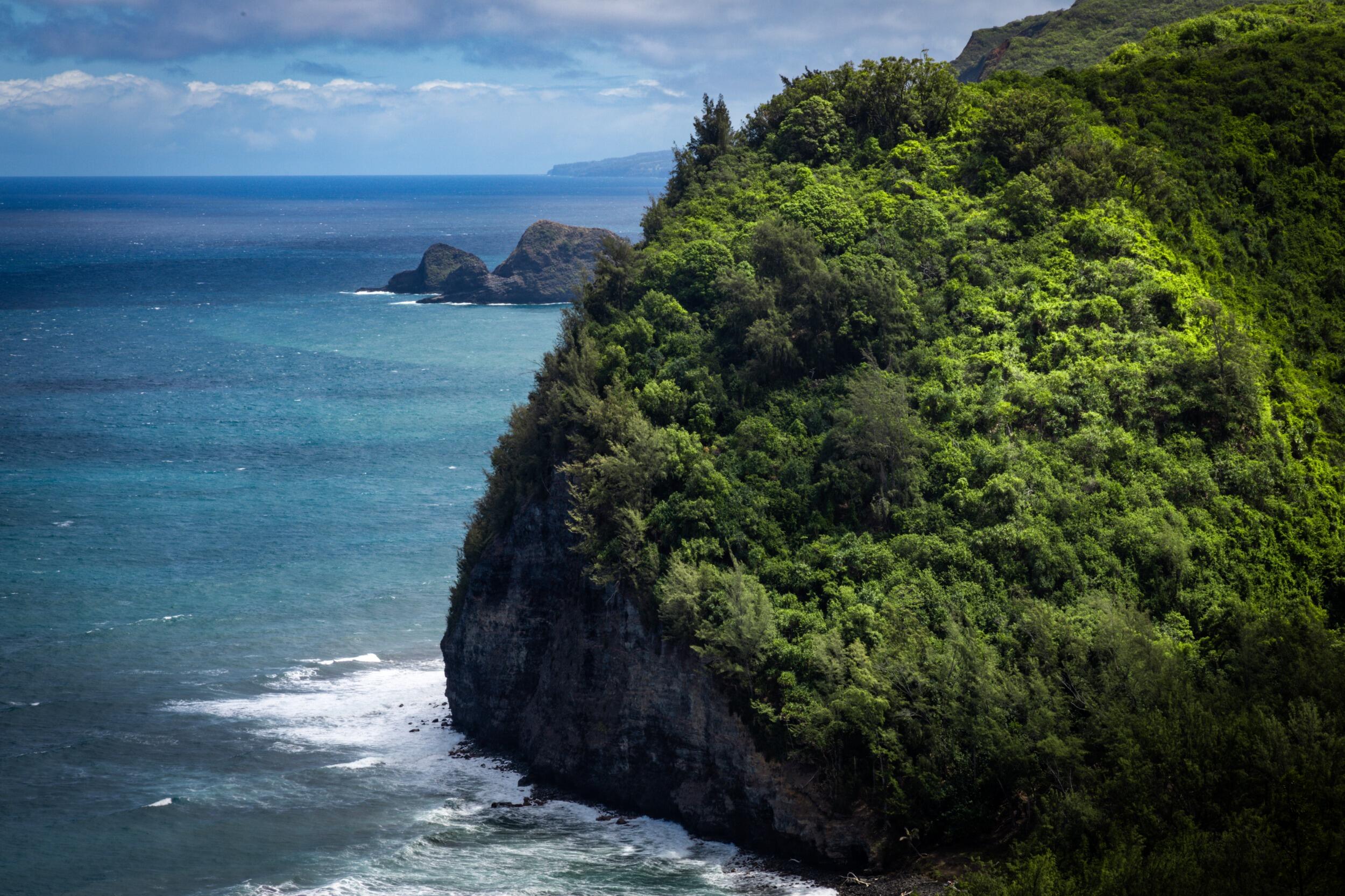 Picture of Pololū Valley Lookout