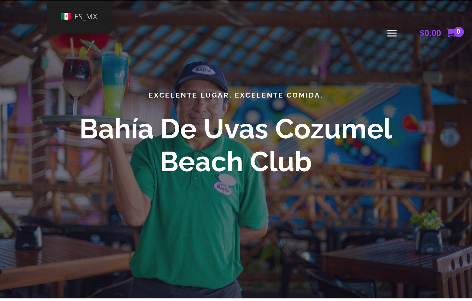 Picture of Bahía De Uvas Cozumel Beach Club