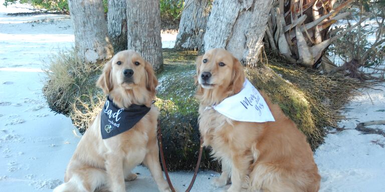 Karen & Bob Home Page Banner